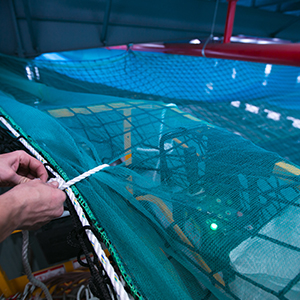 2.5 Mm/4 mm Braided Safety Net manufacturers in Mumbai
