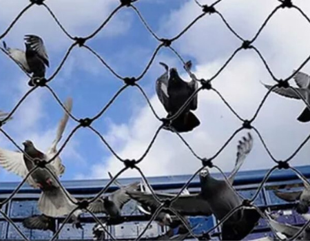 Binds Net manufacturers in Mumbai